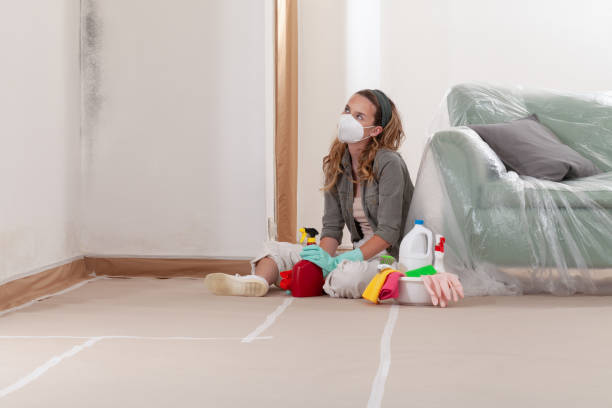 Reliable Mold Remediation contractor in South Plainfield, NJ by WQB Mold Removal